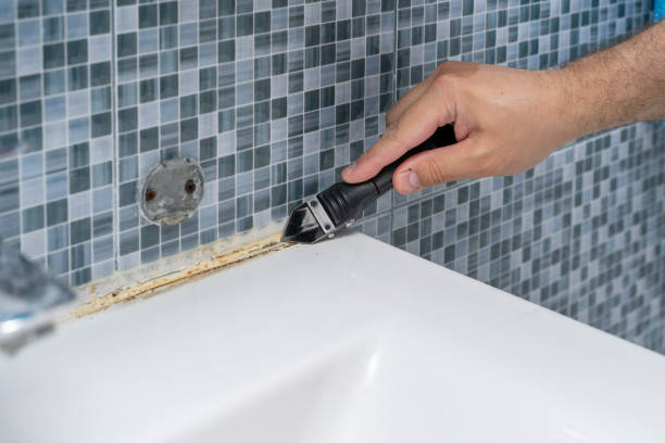 Best Residential Mold Removal  in Coats Bend, AL