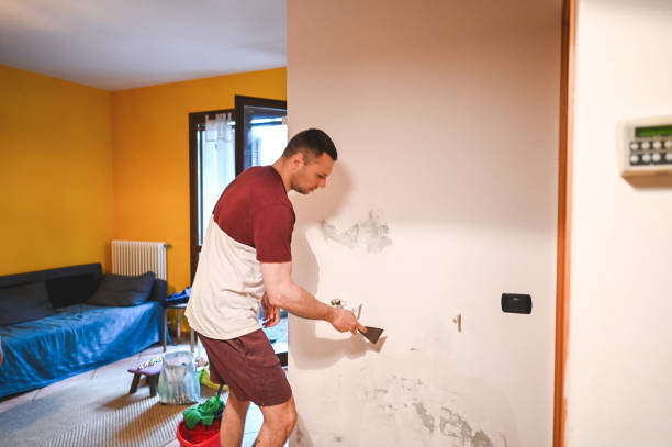 Best Mold Damage Repair  in Coats Bend, AL